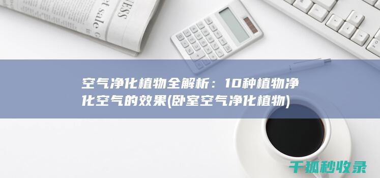 空气净化植物全解析：10种植物净化空气的效果 (卧室空气净化植物)
