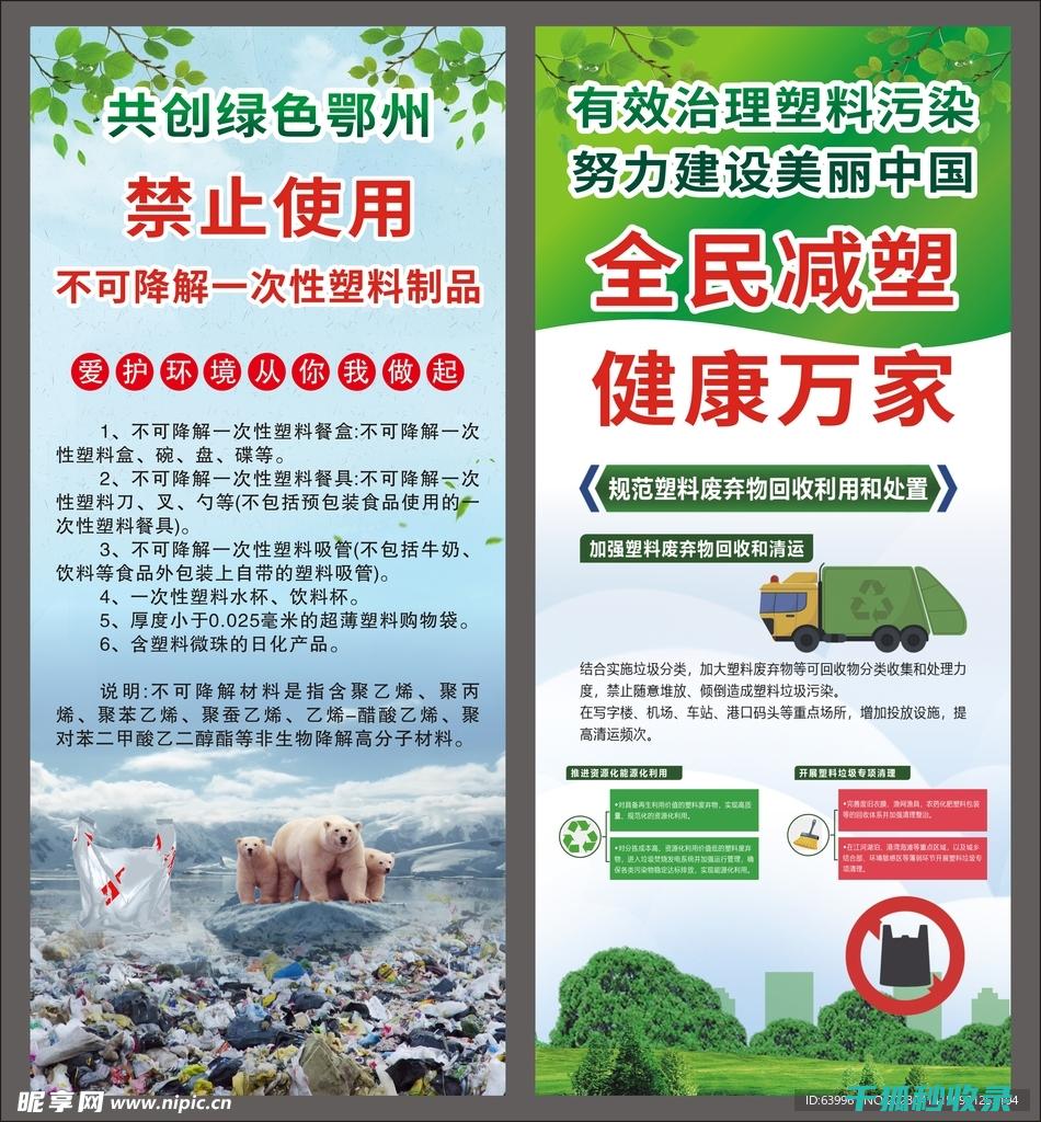 减少塑料使用：用行动创造绿色未来 (减少塑料使用的措施)