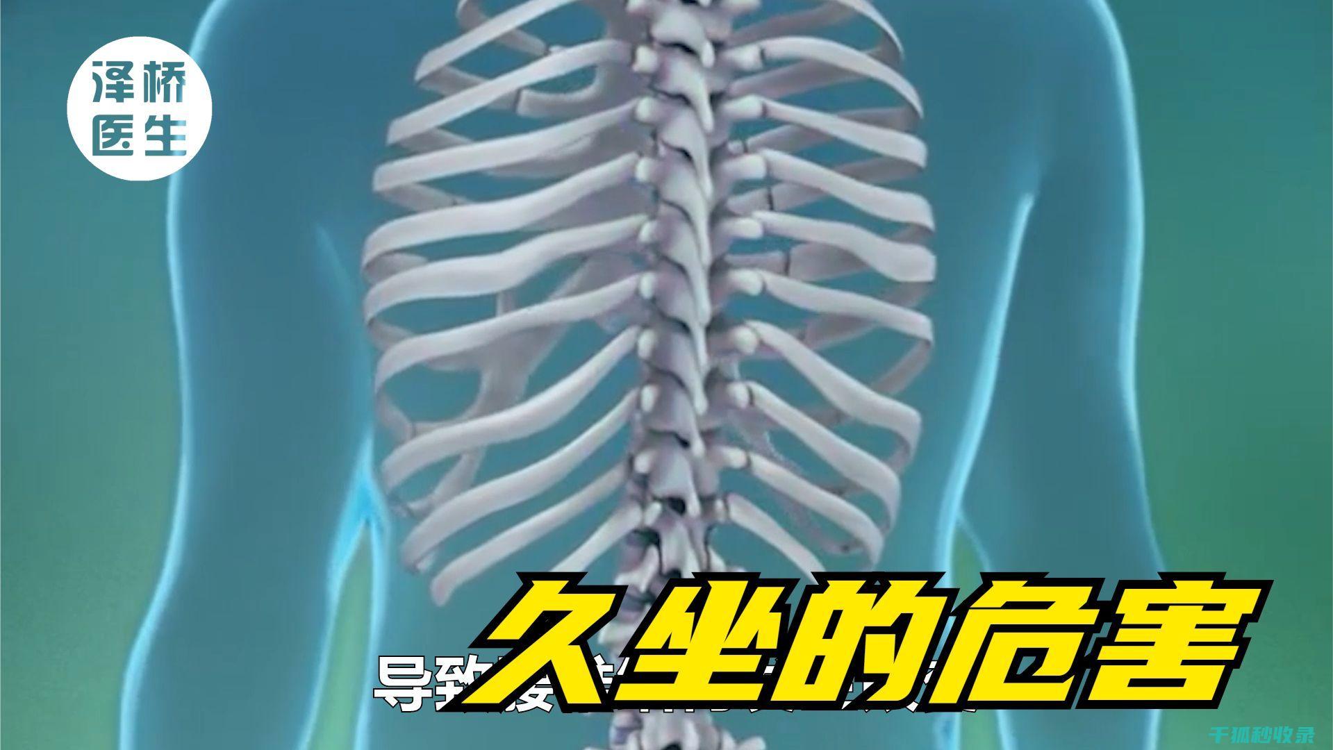 久坐族必做的拉伸运动：缓解腰酸背痛的秘密武器 (久坐族适合的运动)