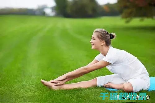 久坐族的拉伸运动全攻略：从头到脚的全身放松 (久坐族拉伸指南)