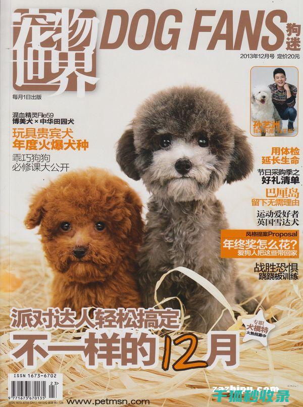 宠物健康无忧