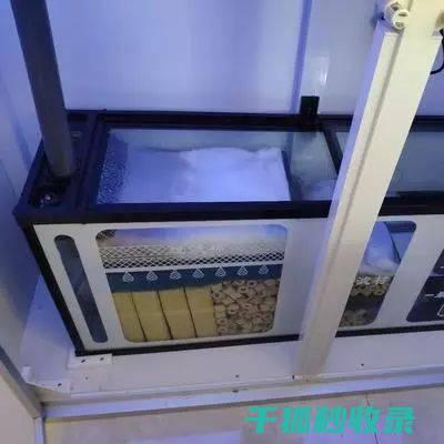 水族箱清洁误区：频繁清洗过滤器的弊端 (水族箱清洁误差标准)