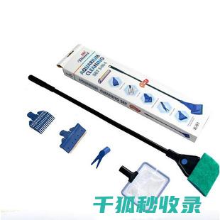 水族箱清洁心得