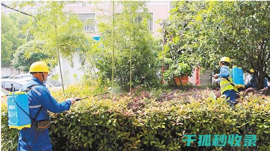 植物病虫害防治：如何通过合理修剪减少病虫害传播途径 (植物病虫害防治)