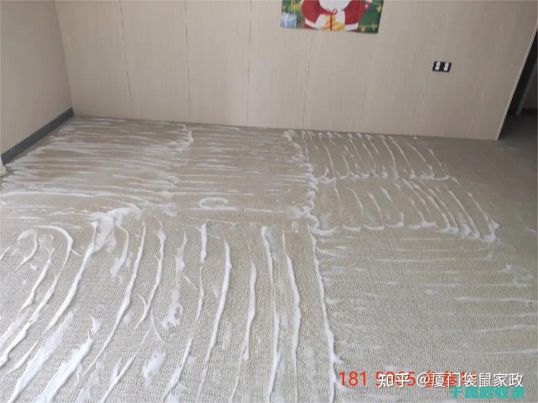 地毯污渍去除全解析：从基础到高级的清洁方法 (地毯污渍去除小妙招)