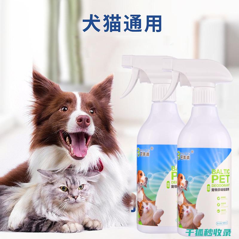实用技巧与长效之道