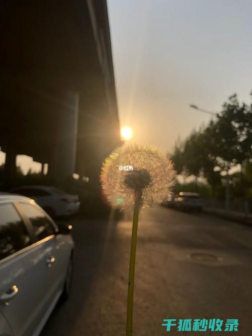 寻找生活中的小物件：一次心灵的探索 (寻找生活中的大数)