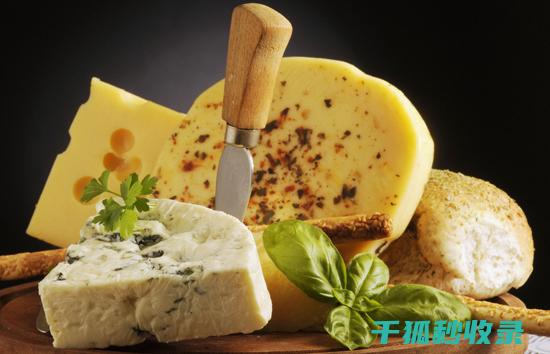 让你的奶酪随时保持最佳口感