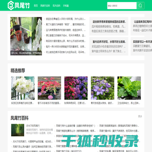 凤尾竹
