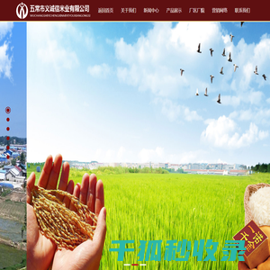 五常市义诚信米业有限公司