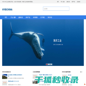 HAWE阀现货,HAWE电磁阀,EBARA泵进口,进口工业设备