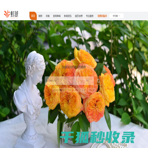 虹越花卉股份有限公司