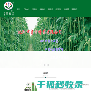 首页